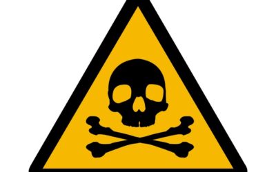 Toxic Employees:  Fight or Flight?